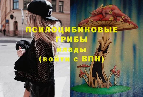 круглые Армянск