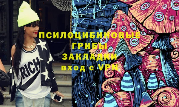 эйфоретик Арсеньев