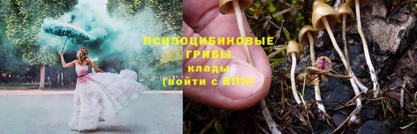 эйфоретик Арсеньев
