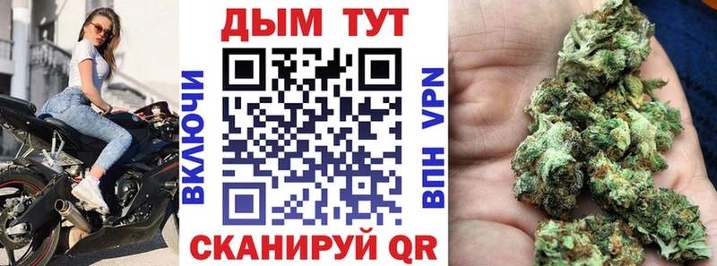 Бошки марихуана семена  цены   Опочка 